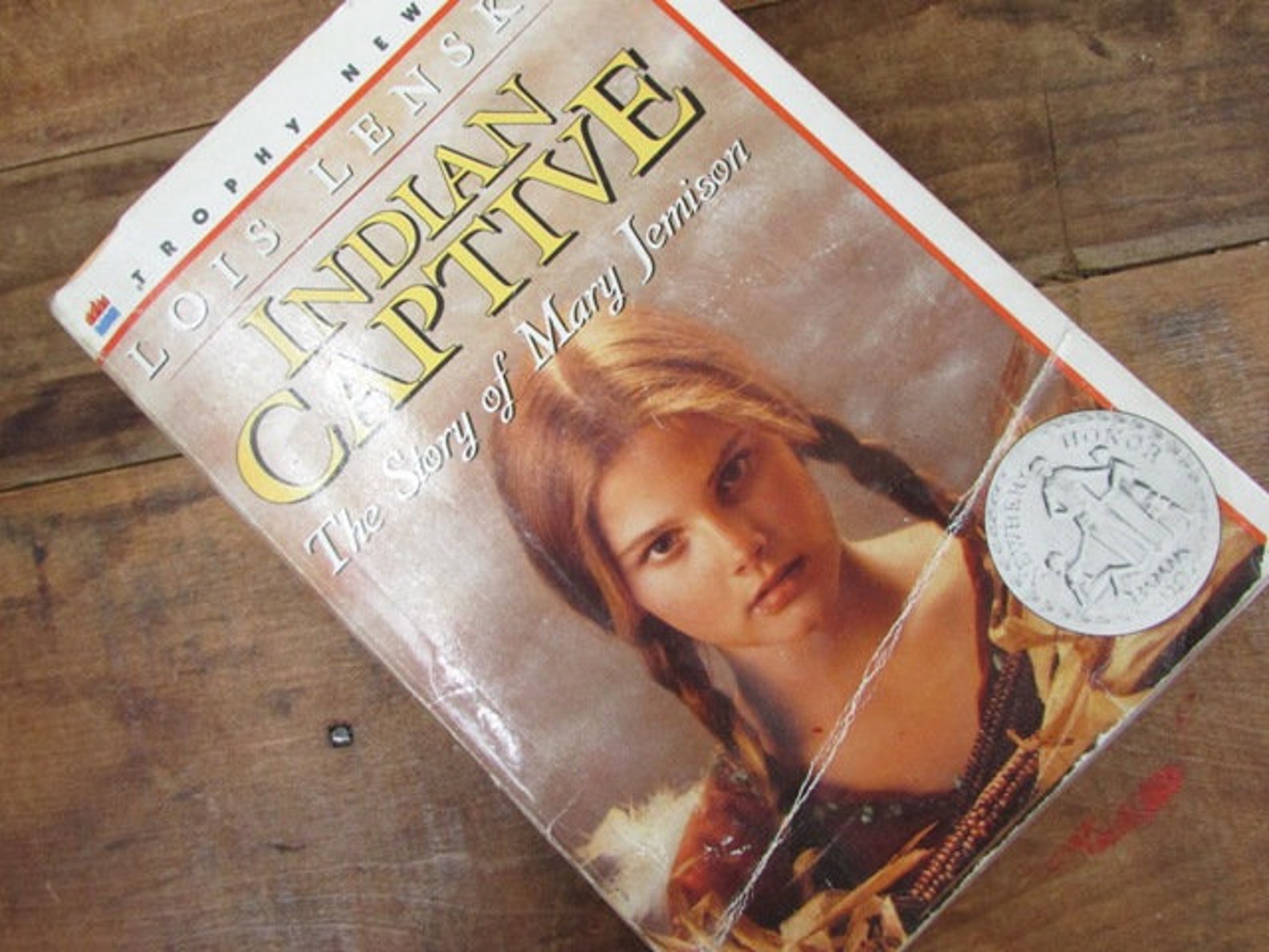 Calico Captive Indian Captive the Story of Mary Jemison Sarah Etsy