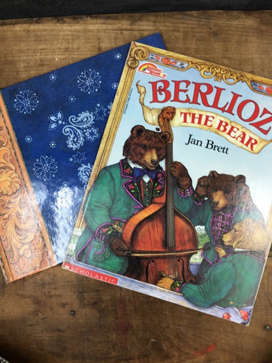 Jan Brett Berlioz the Bear & Armadillo Rodeo Children's Picture Book ...