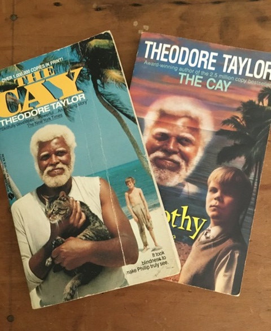 The Cay & Timothy of the Cay by Theodore Taylor Adventure Etsy