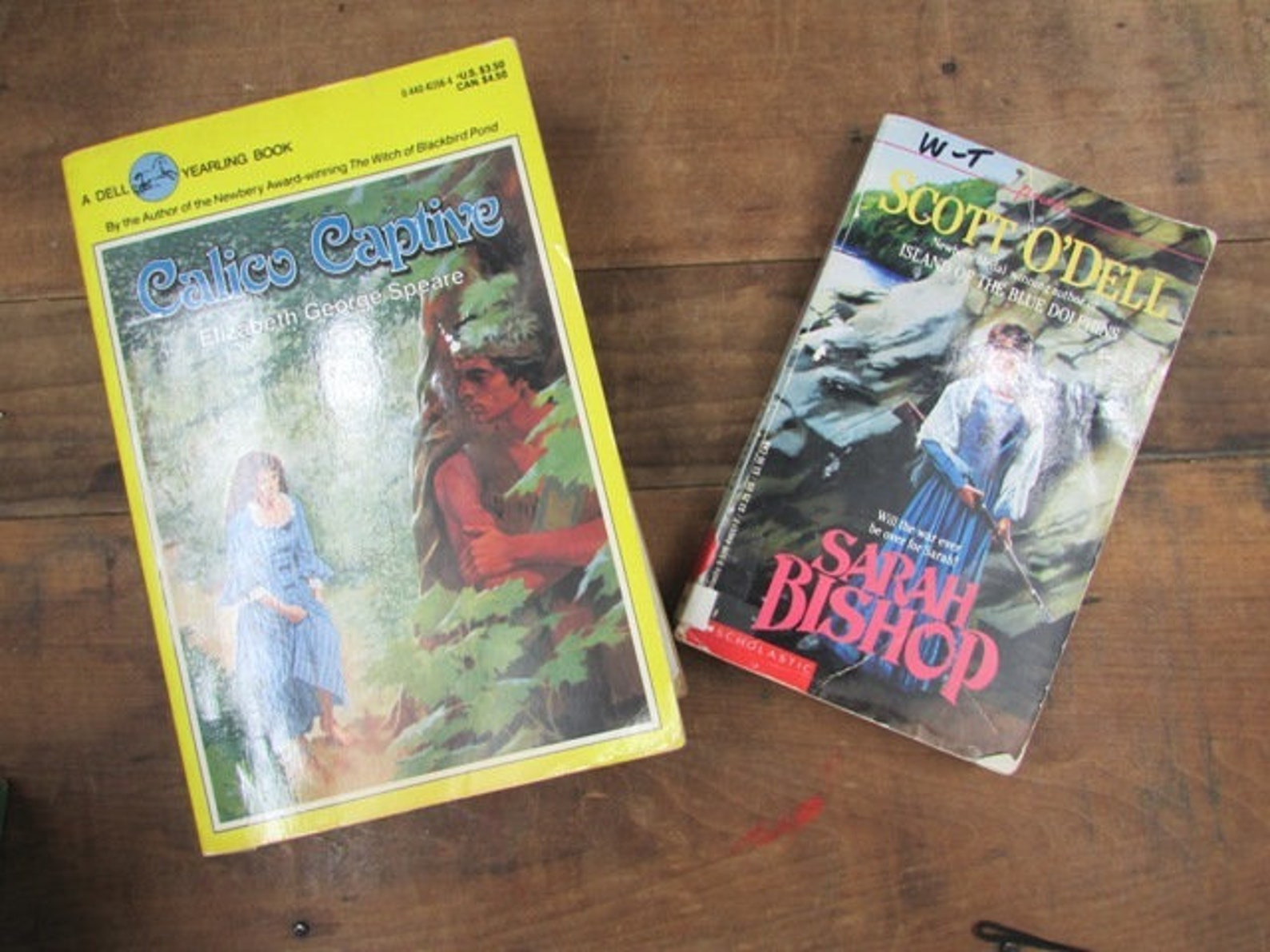 Calico Captive Indian Captive the Story of Mary Jemison Sarah Etsy