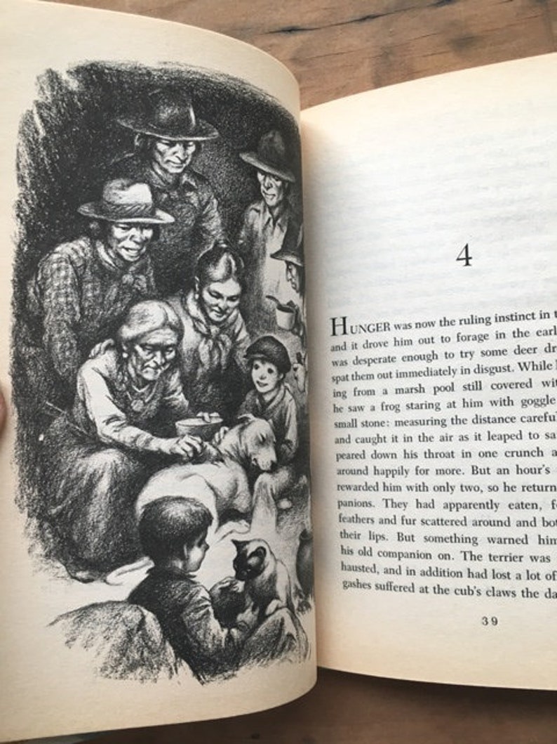 The Incredible Journey by Sheila Burnford A Tale of Three Animals Dog and Cat Story Preteen Chapter Book Animal Fiction 画像 4