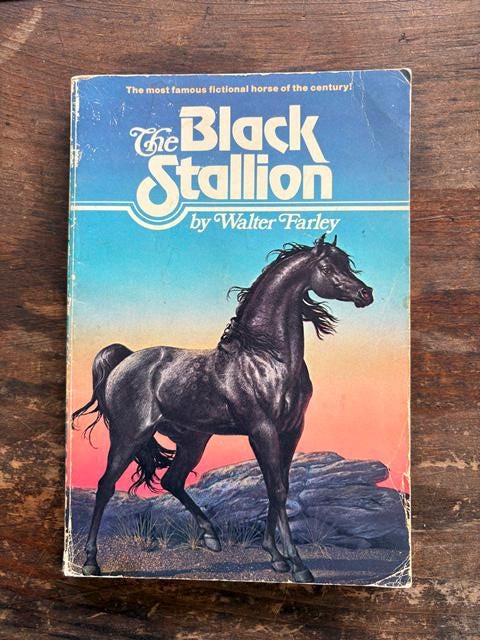 vintage BLACK STALLION suede 溶接 jacket M Black Stallion Vintage