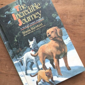 The Incredible Journey by Sheila Burnford A Tale of Three Animals Dog and Cat Story Preteen Chapter Book Animal Fiction 画像 1