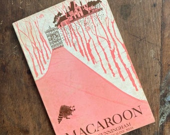 Macaroon by Julia Cunningham and Evaline Ness Children's Classic Picture Book About A Racoon