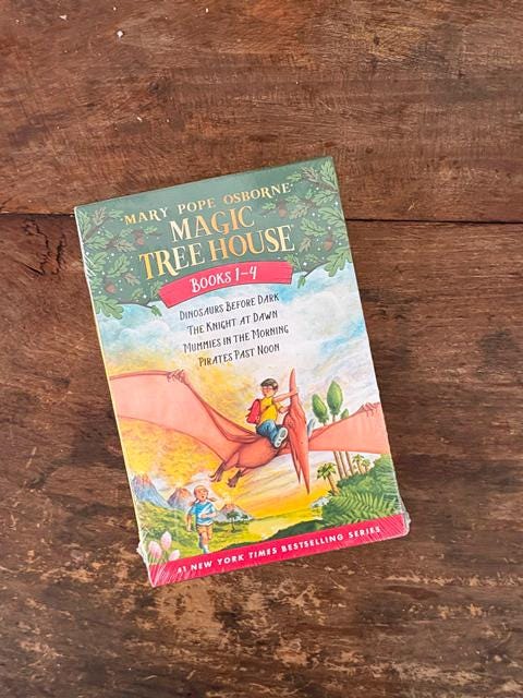 Magic Tree House Books 1-4 Box Set, Time-travel Adventure - Etsy