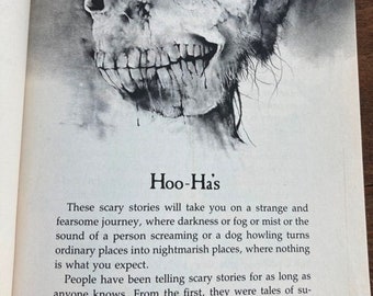 More Scary Stories to Tell in the Dark by Alvin Schwartz