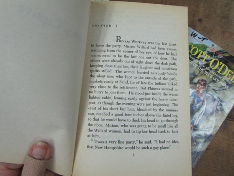 Calico Captive Indian Captive the Story of Mary Jemison Sarah Etsy