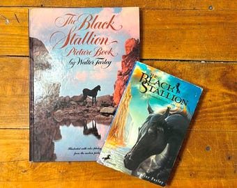 The Black Stallion by Walter Farley, Horse Fiction (Paperback)