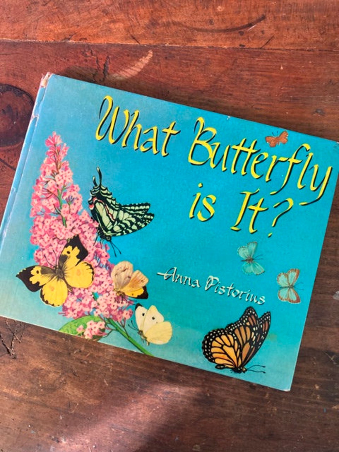 What Butterfly is It by Anna Pistorius Butterfly Identification Book