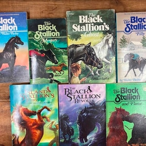 Vintage Black Stallion Book Series by Walter Farley
