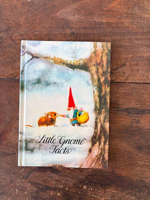 Little Gnome Facts OR A Gnome Counting Book by Rien Porrtviet - Etsy