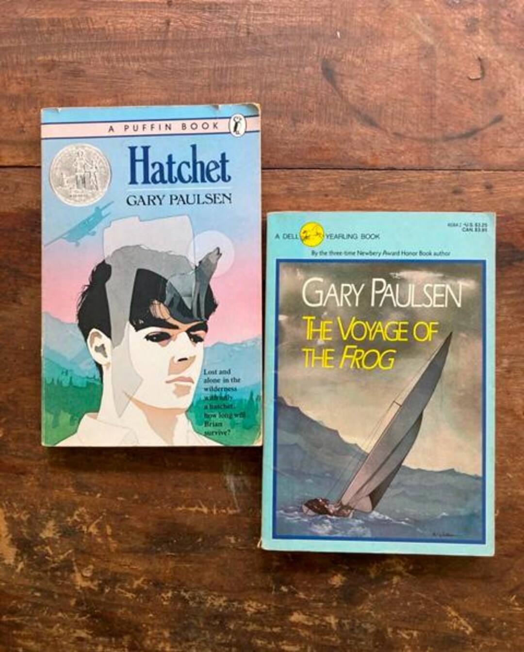 Hatchet & the Voyage of the Frog by Gary Paulsen Preteen Adventure ...