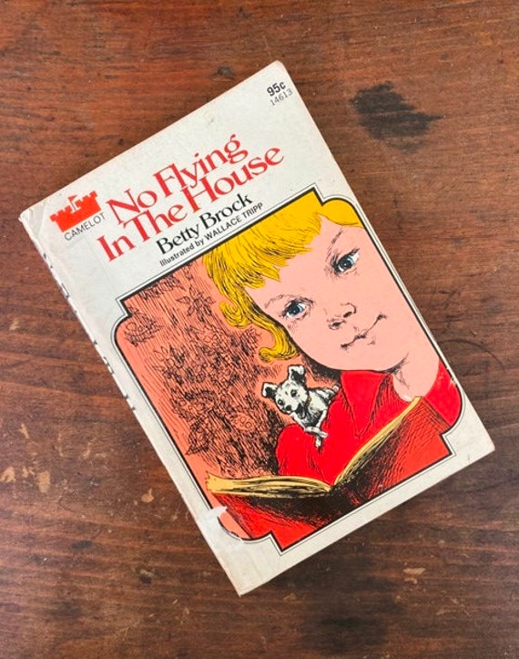 no flying in the house book