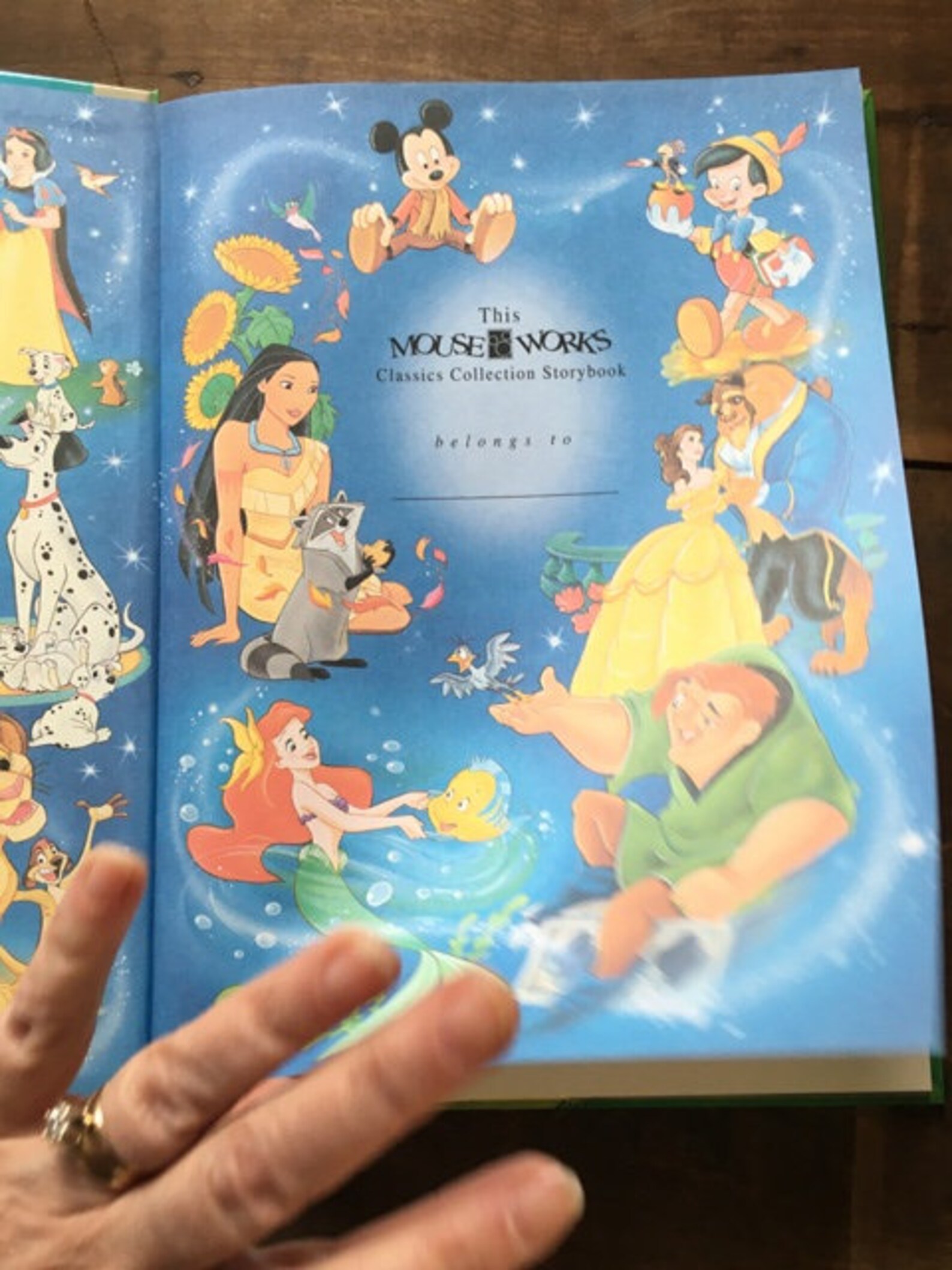 Winnie The Pooh Walt Disney Classic Storybook Collection | Etsy