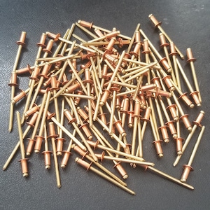 May include: A pile of brass and copper rivets. The rivets have a cylindrical body with a rounded head on one end and a solid shaft. The heads are copper-colored, while the shafts are brass-colored.
