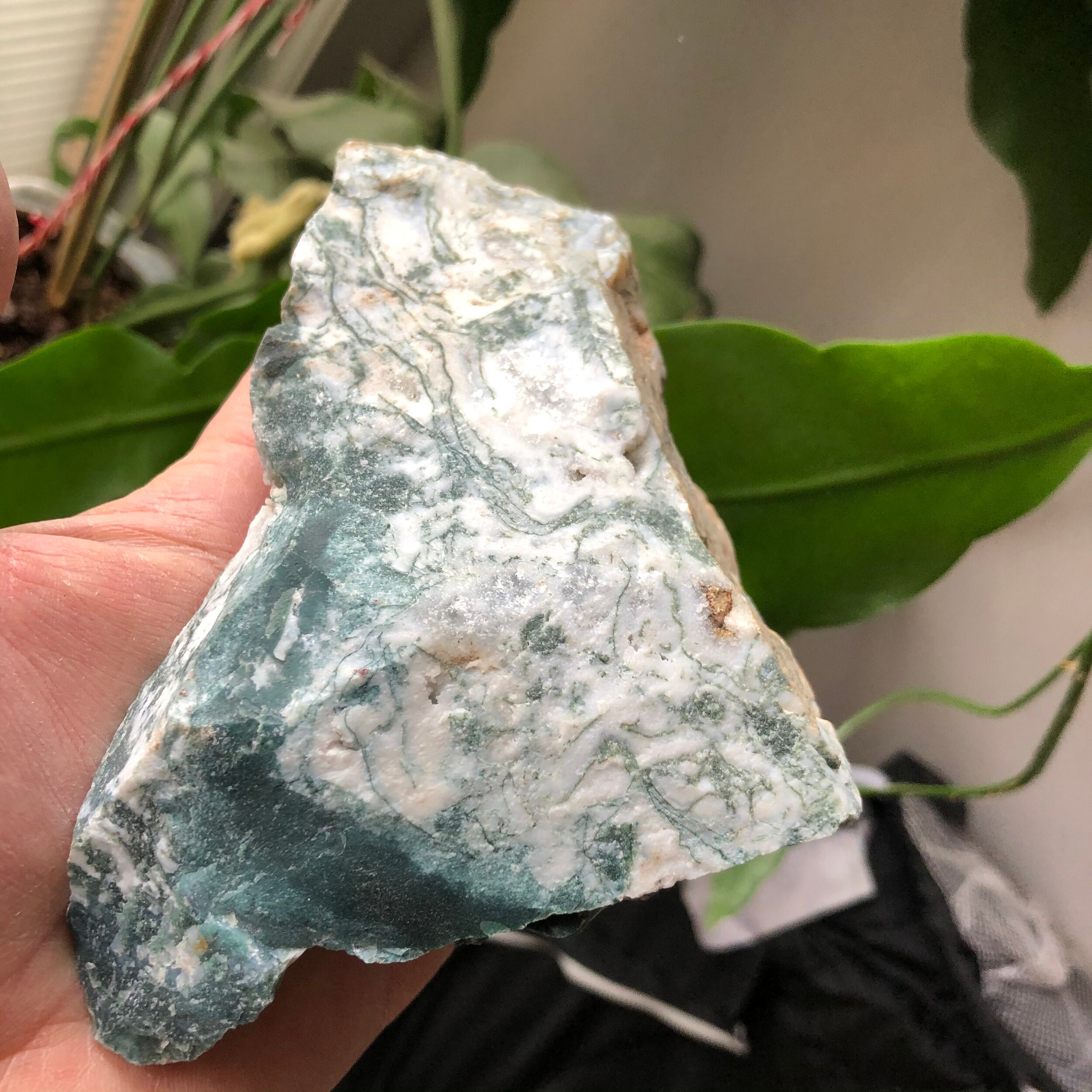 Tree Moss Agate Natural Rough Stone | Etsy