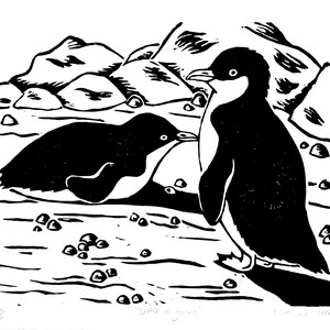 Puede incluir: Grabado en lin&oacute;leo en blanco y negro de dos ping&uuml;inos en una costa rocosa. La impresi&oacute;n est&aacute; titulada "Little Penguins" y firmada y fechada "Y.M. 2016".