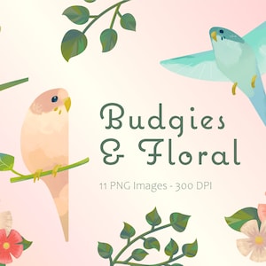 Budgerigar (Budgie) Clipart Set Transparent PNGs