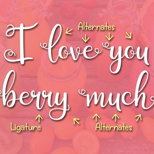 Berry Smoothies, font, script font, font duo, swirly font, pretty font, feminine font, cursive font, bouncy font, handwritten font, fun font image 4