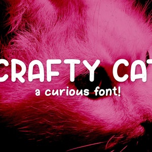 Crafty Cat Font, fun font, handwritten font, handwriting font, font, thick font, fun font, smooth font, simple font, kids font