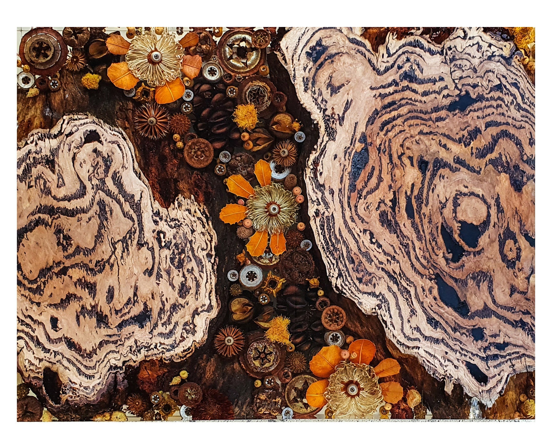 Handcrafted Red Ironbark Wall Art: Australian Native Flora Decor
