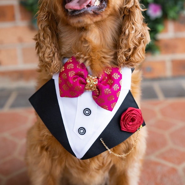 Lux Tuxedo Dog Bandana