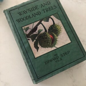 Könnte beinhalten: Ein grünes Buch mit dem Titel "Wayside and Woodland Trees" von Edward Step F.L.S. Der Umschlag zeigt eine Illustration eines Kastanienbaumzweigs mit stacheligen Samenkapseln.