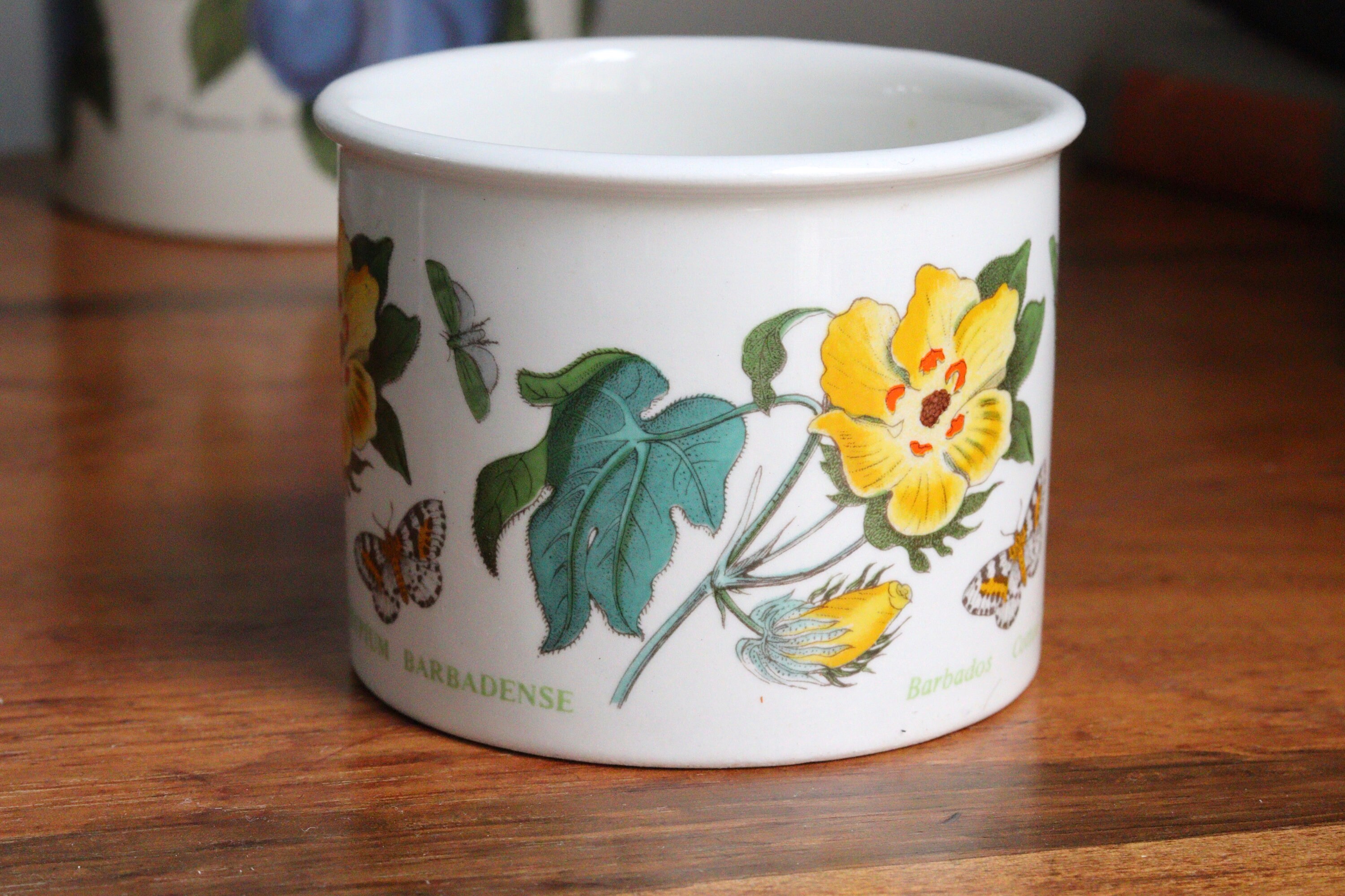 Portmeirion Pot Barbados Cotton Flower Pot Small Pitcher Etsy