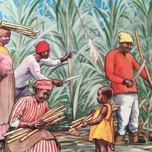 Póster vintage, póster educativo de Macmillan, n.º 14. Cortando caña de azúcar en Jamaica, póster infantil, póster de los años 30, impresión
