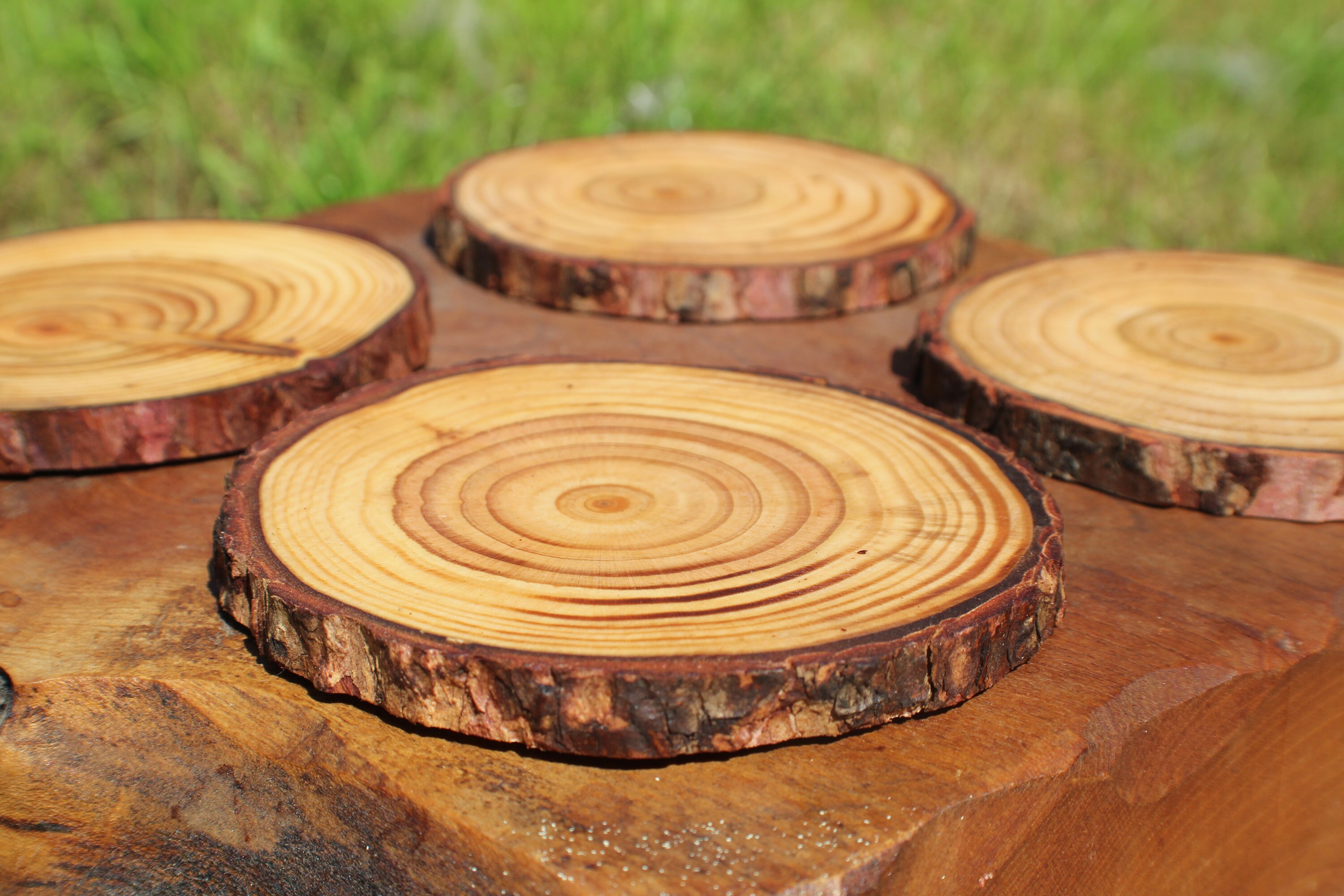 Large Natural Rustic Wooden Log Coaster Set Etsy UK