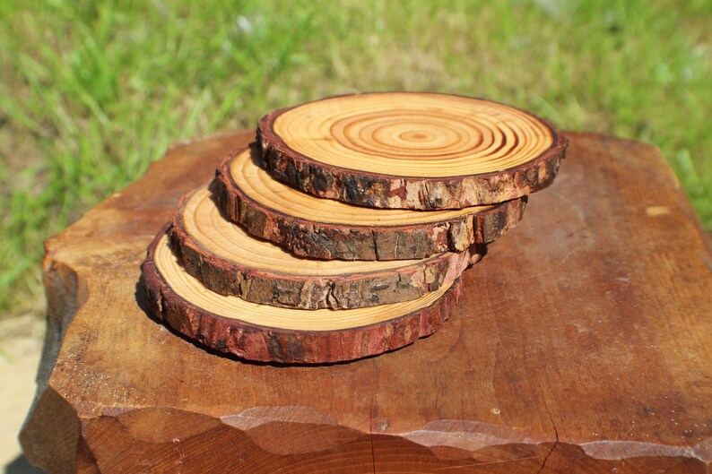 Large Natural Rustic Wooden Log Coaster Set Etsy