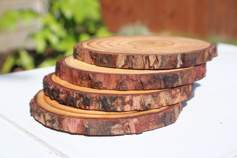 Large Natural Rustic Wooden Log Coaster Set Etsy