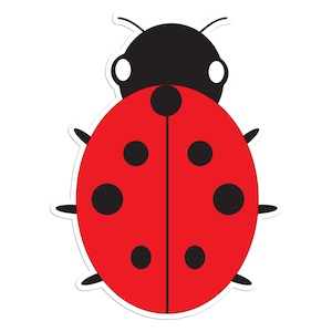 Ladybug - Top View - Vinyl Sticker For Laptops, Cars, Water Bottles - High Quality, Durable