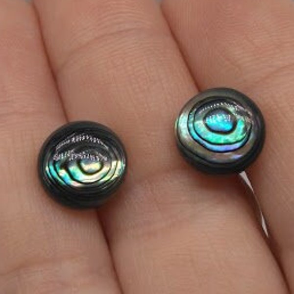 Hand Made Abalone Stud Earrings on 316 Surgical Stainless Steel Posts