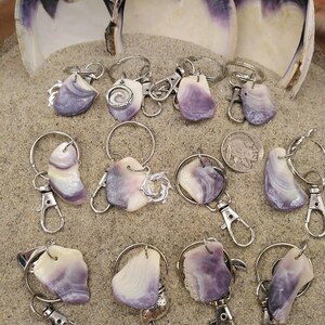 Puede incluir: Una colección de llaveros con conchas marinas naturales pulidas en tonos morados y blancos. Cada llavero tiene un anillo y un cierre plateados. Los llaveros están dispuestos sobre un lecho de arena, con grandes mitades de conchas marinas en el fondo.