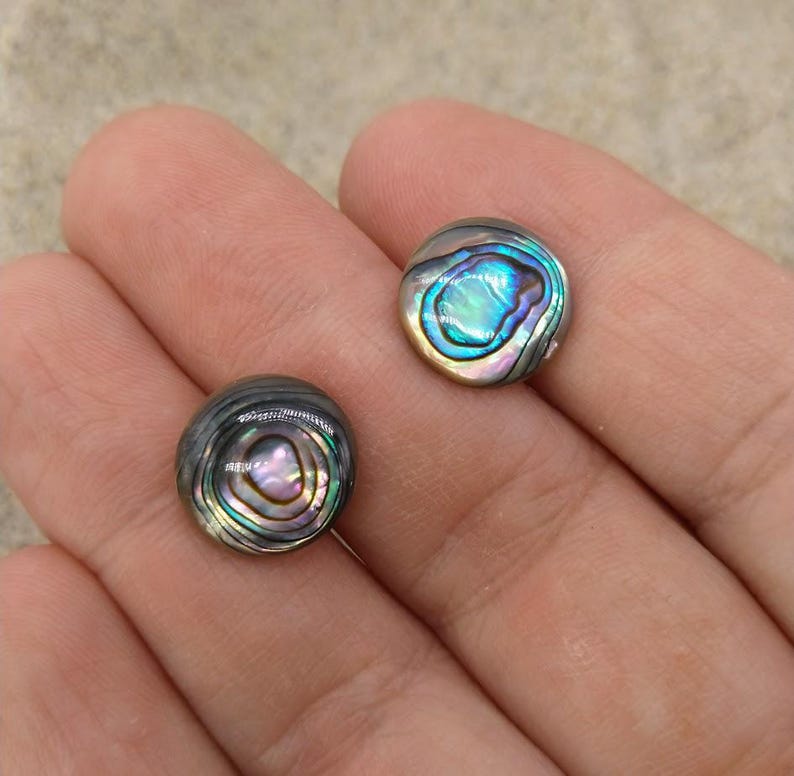 Abalone Shell Circles on Stainless Steel Studs With Stainless Steel ...