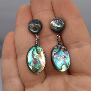Hand Carved Abalone Shell Earrings on 316 Surgical Stainless Steel Fishhook Earrings