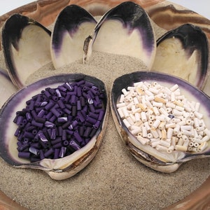 May include: Two clam shells filled with small, colorful beads. One shell is filled with purple and white beads, and the other is filled with white beads. The shells are sitting on a bed of sand in a wooden bowl.