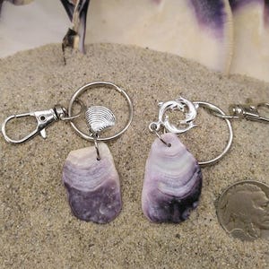 Puede incluir: Dos llaveros con colgantes de conchas naturales moradas y blancas. Un llavero tiene un pequeño dije de concha, el otro tiene un dije de delfín. Ambos tienen anillos y cierres de metal plateado. Los llaveros se exhiben sobre arena.