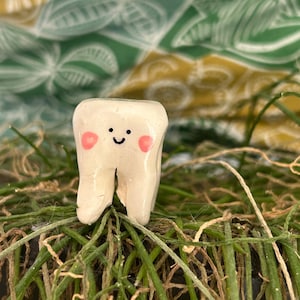 May include: A whimsical, handcrafted ceramic tooth figurine with a smiling face and pink cheeks. The tooth is off-white and sits on a bed of green and brown plant material, with a patterned background in shades of yellow and green.