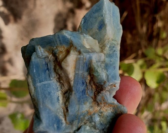 Blue Kyanite Crystal Cluster: Natural Afghanistan Gemstone (146 Grams)