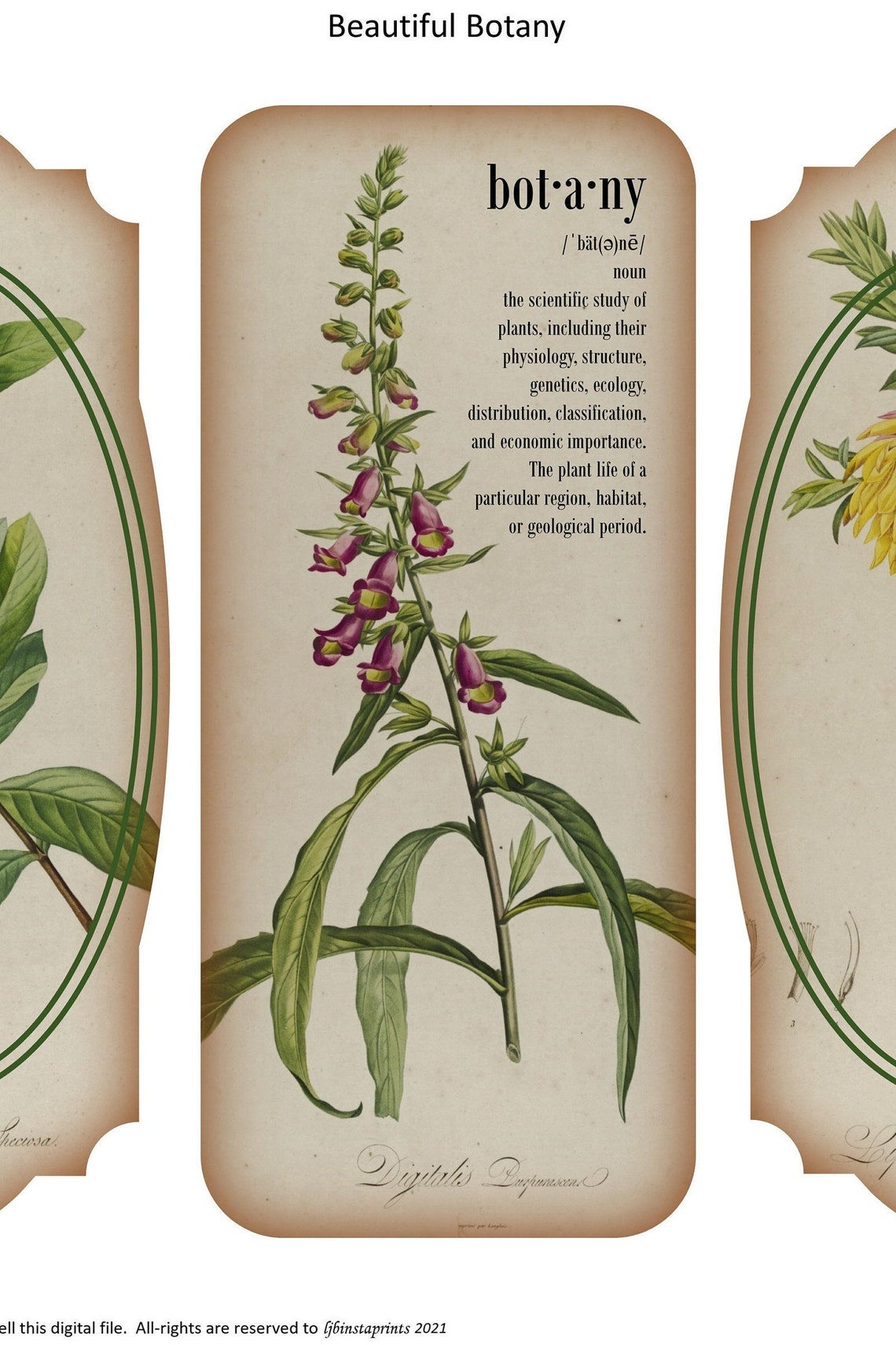 Beautiful Botany Journal Kit Botanical Journal Kit Writing Etsy