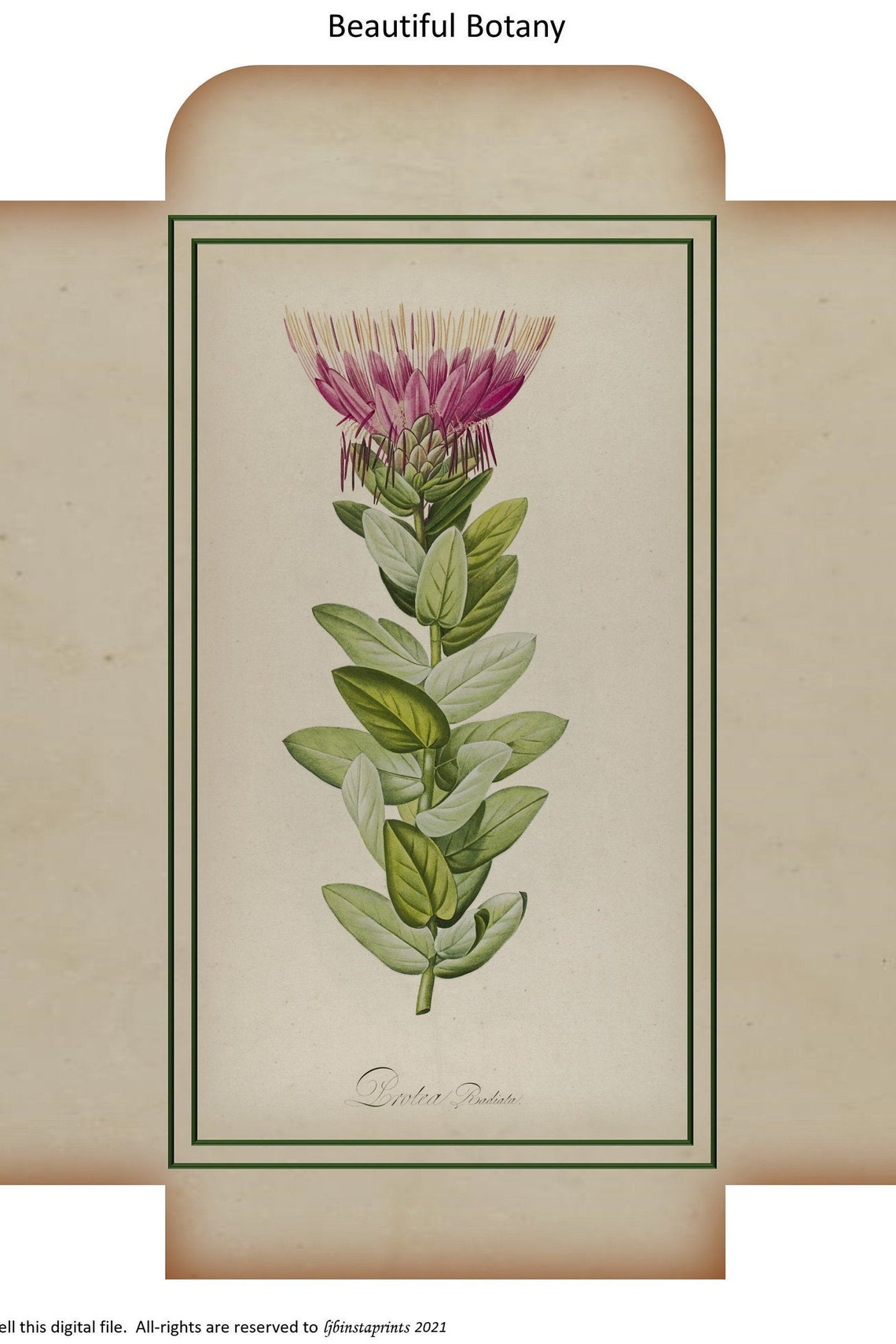 Beautiful Botany Journal Kit Botanical Journal Kit Writing Etsy