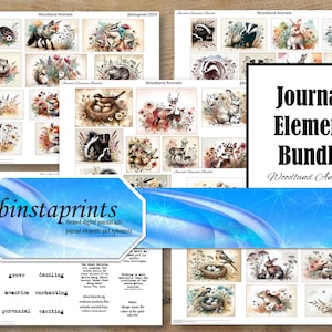 Bundle animaux de la forêt, élément de journal, élément de journal numérique, fourniture de journal indésirable, cartes animaux de la forêt pour journal, téléchargement immédiat