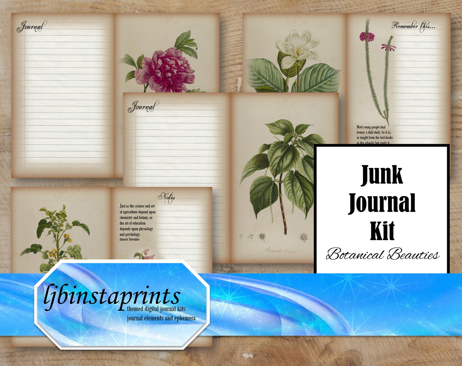 Beautiful Botany Journal Kit, Botanical Journal Kit, Writing Journal