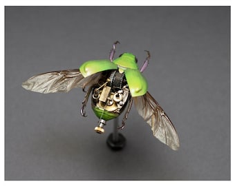 Green Scarab