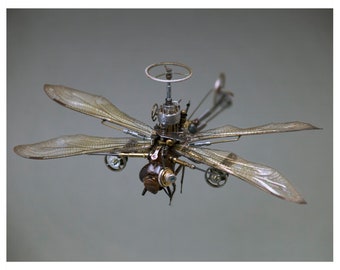Odonata: epischiana heros