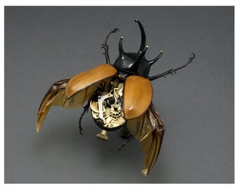 Rhino Beetle