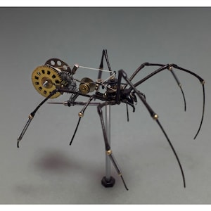 Arachnidae: nefila maculata