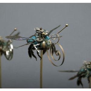 Carpenter Bee group